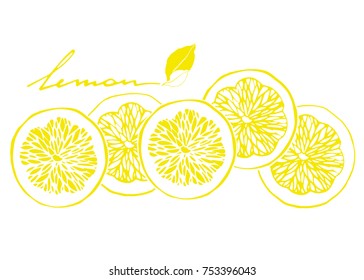 Lemon slices. Isolated on white. Hand drawn Vector Illustration.