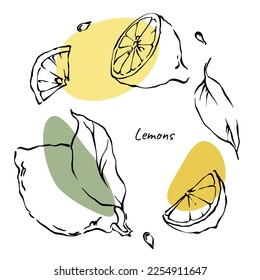Lemon slices, leaves and seads set of outline contour drawings with yellow and green abstract color spots. Hand drawn vector citrus fruit illustrations collection on white background.