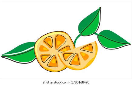 Lemon slices with leaves.
Simple vector composition. 
Flat design.