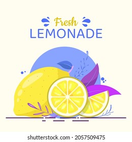 Lemon slices with leaves. Whole lime and cut pieces of lemon isolated on white. Text fresh lemonade and copy space. Juicy fruit vitamin banner vector illustration.