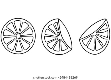 Lemon slices line art illustration citrus fruit design