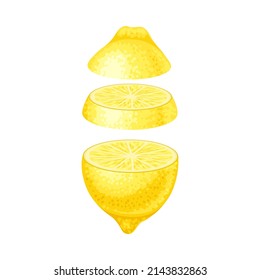 Lemon slices lying in vertical row. Healthy organic vegetable vector illustration