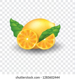 lemon slices with realist concepts and packaging design