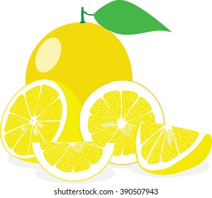 Lemon, lemon slices, set of lemons, vector illustrations