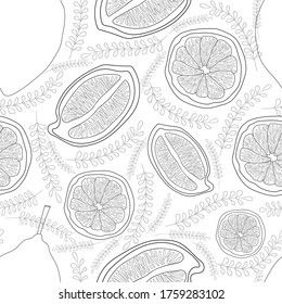 Lemon slices and twigs on a white background. Outline monochrome illustration. Vector seamless pattern.
