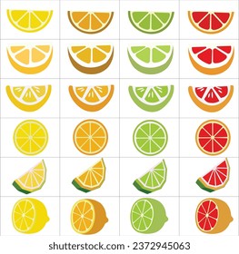 lemon slices in various colors in vector and white background