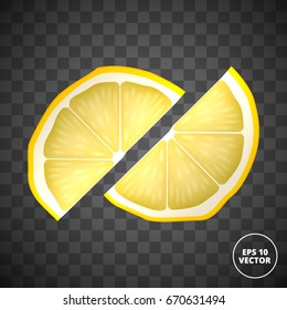 lemon slices vector illustration 