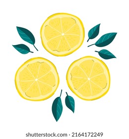 Lemon slices vector illustration isolated on white background.