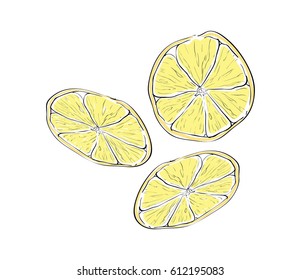 Lemon slices
vector sketch, illustration