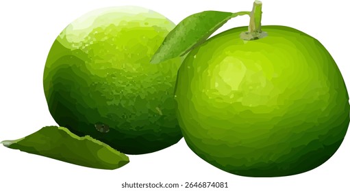 lemon sour and fragrant fruit14