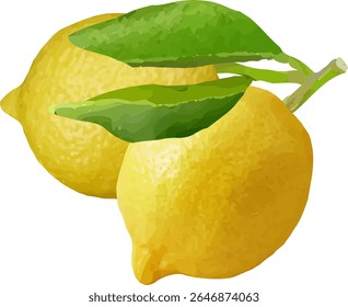 Fruta agria y fragante de limón28