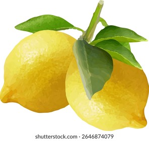 lemon sour and fragrant fruit6
