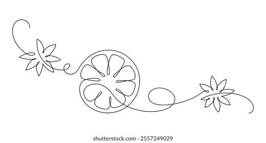 Lemon with star anise spice. Continuous line drawing.