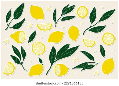 Lemon sticker set. Hand-drawn lemons on a beige background. Slice, halves, whole fruit, leaves, flowers, seeds. Cartoon citrus tropical collection. Healthy food sign. Vector botanical illustration