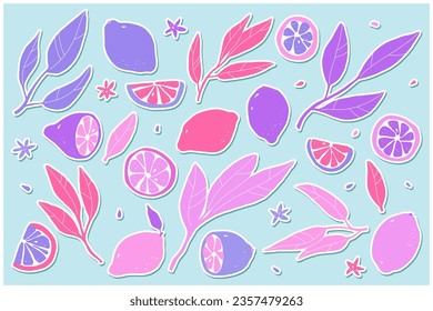 Lemon sticker set. Hand-drawn pink lemons on blue background. Slice, halves, whole fruit, leaves, flowers, seeds. Cartoon citrus tropical collection. Healthy food sign. Vector botanical illustration