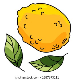 Lemon sticker set on white isolated backdrop. Citrus and leaves for gift card, healthy food shop logo, bath tile, juice pack. Phone case or cloth print art. Hand drawn style stock vector illustration
