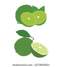 lemon SVG vector design Green lemon