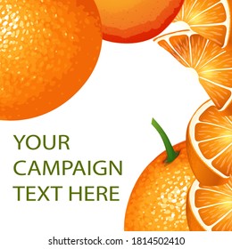 Lemon template background. Vector illustration of fruit orange. Watercolor illustration set of orange and orange slice with leaves isolated on white background, packaging design. 