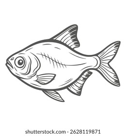 Lemon Tetra Fish Illustration, Outline Style