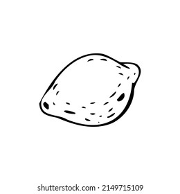 Lemon thin black lines on a white background - Vector illustration