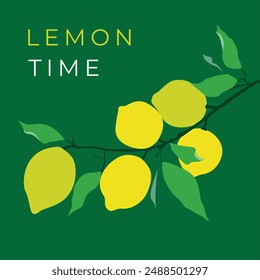 Lemon Time: Fresh Citrus Fruit for Healthy Living