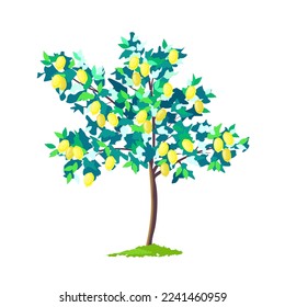 Lemon tree abstract illustration, vector