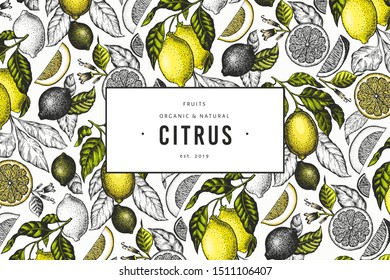 Lemon tree banner template. Hand drawn vector fruit illustration. Engraved style banner. Vintage citrus design.