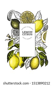 Lemon tree banner template. Hand drawn vector fruit illustration. Engraved style banner. Vintage citrus design.