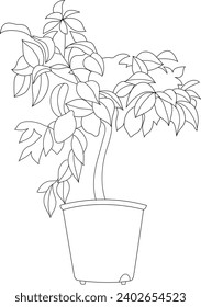 Lemon tree black and white vector line art illustration