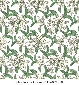 Lemon tree blossom seamless pattern. Background with snowy small white flowers and leaves. Botanical natural template for fabric, paper, wallpaper design vector illustration