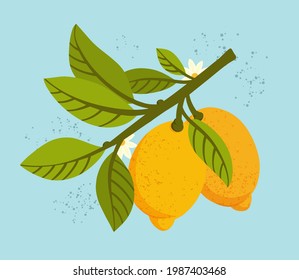 Lemon tree branch with fruits,  leaves and flowers on blue background. Fresh citrus. Exotical tropical plant. Modern design for card, package, logo, web or print. Flat vector illustration.