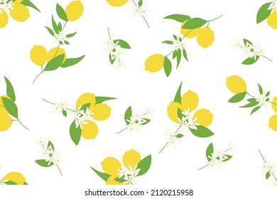 Lemon tree branch with fruits leaves and blossoms, vector seamless pattern on white background