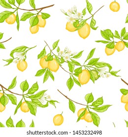 Lemon tree branch with lemons, flowers and leaves. Seamless pattern, background. Colored vector illustration. Isolated on white background.	
