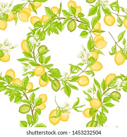 Lemon tree branch with lemons, flowers and leaves. Seamless pattern, background. Colored vector illustration. Isolated on white background.	