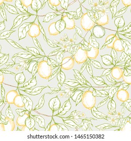 Lemon tree branch with lemons, flowers and leaves. Seamless pattern, background. Outline colored hand drawing vector illustration in soft colors on grey background.	