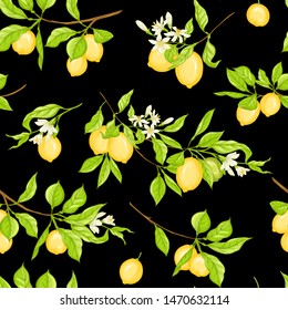 Lemon tree branch with lemons, flowers and leaves. Seamless pattern, background. Colored vector illustration. Isolated on black background.	