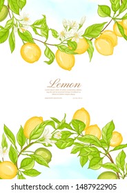 Lemon tree branch with lemons, flowers and leaves. Template for wedding invitation, greeting card, banner, gift voucher, label. Colored vector illustration.	