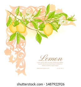 Lemon tree branch with lemons, flowers and leaves. Template for wedding invitation, greeting card, banner, gift voucher, label. Colored vector illustration.	