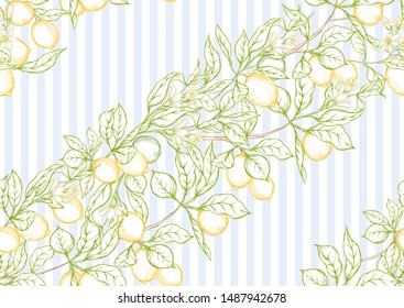 Lemon tree branch with lemons, flowers and leaves. Seamless pattern, background. Outline colored hand drawing vector illustration in soft colors on blue stripes background.	