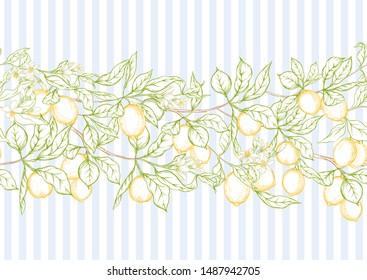 Lemon tree branch with lemons, flowers and leaves. Seamless pattern, background. Outline colored hand drawing vector illustration in soft colors on blue stripes background.	