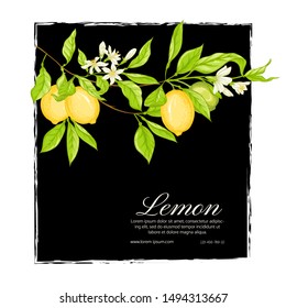 Lemon tree branch with lemons, flowers and leaves. Template for wedding invitation, greeting card, banner, gift voucher, label. Colored vector illustration.	