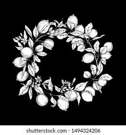 Lemon tree branch with lemons, flowers and leaves. Element for design. Black and white graphics. Vector illustration.	