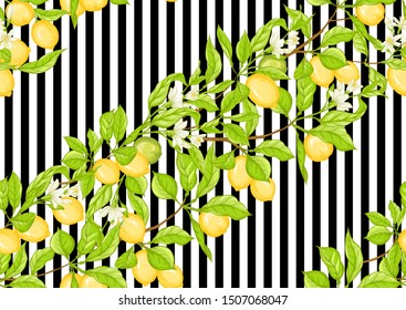 Lemon tree branch with lemons, flowers and leaves. Seamless pattern, background. Colored vector illustration. On black and white stripes background.	