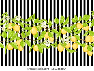 Lemon tree branch with lemons, flowers and leaves. Seamless pattern, background. Colored vector illustration. On black and white stripes background.	