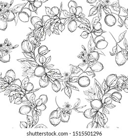 Lemon tree branch with lemons, flowers and leaves. Seamless pattern, background. Outline hand drawing vector illustration in black, white colors.