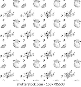 Lemon tree branch with lemons, flowers and leaves. Seamless pattern, background. Outline hand drawing vector illustration in black, white colors.