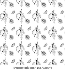Lemon tree branch with lemons, flowers and leaves. Seamless pattern, background. Outline hand drawing vector illustration in black, white colors.