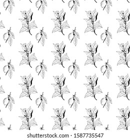 Lemon tree branch with lemons, flowers and leaves. Seamless pattern, background. Outline hand drawing vector illustration in black, white colors.