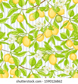 Lemon tree branch with lemons, flowers and leaves. Seamless pattern, background. Colored vector illustration. On blue and white stripes background..