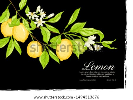 Lemon tree branch with lemons, flowers and leaves. Template for wedding invitation, greeting card, banner, gift voucher, label. Colored vector illustration.	